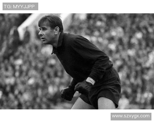 门神与足球明星的传奇交汇那些曾为守门员助力的球场巨星 门神与足球明星的传奇交汇那些曾为守门员助力的球场巨星