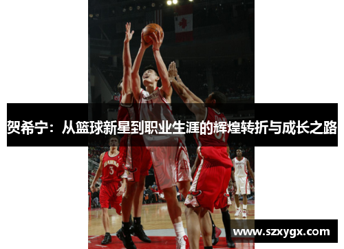 贺希宁：从篮球新星到职业生涯的辉煌转折与成长之路