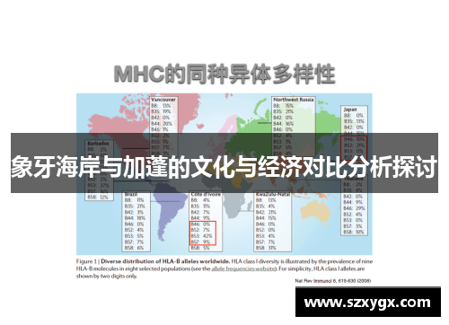 象牙海岸与加蓬的文化与经济对比分析探讨
