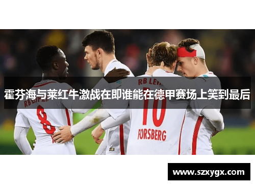 霍芬海与莱红牛激战在即谁能在德甲赛场上笑到最后